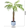 indoor palm tree plants