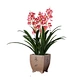 artificial orchid flowers