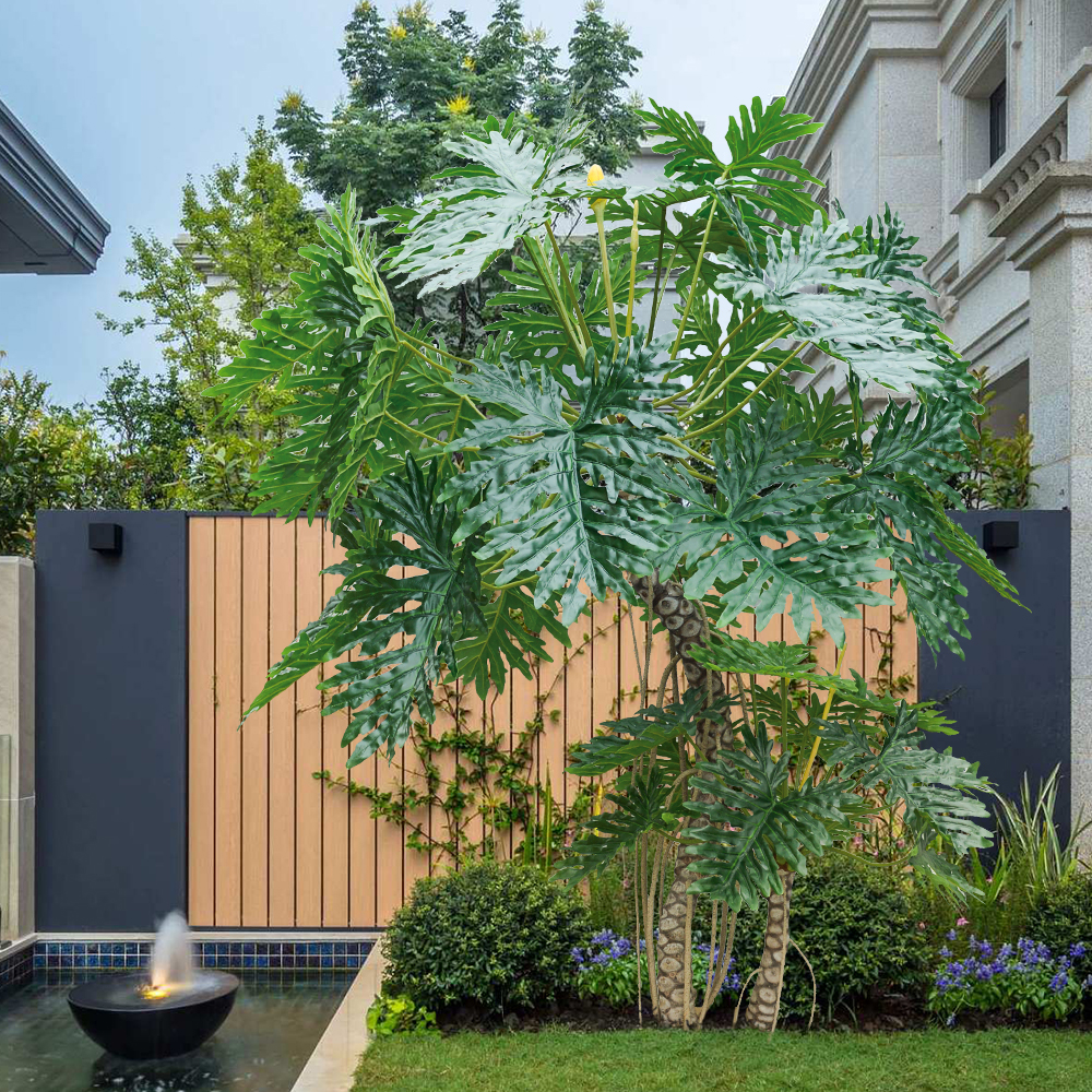 Haihong Updates：About The Split Leaf Philodendron