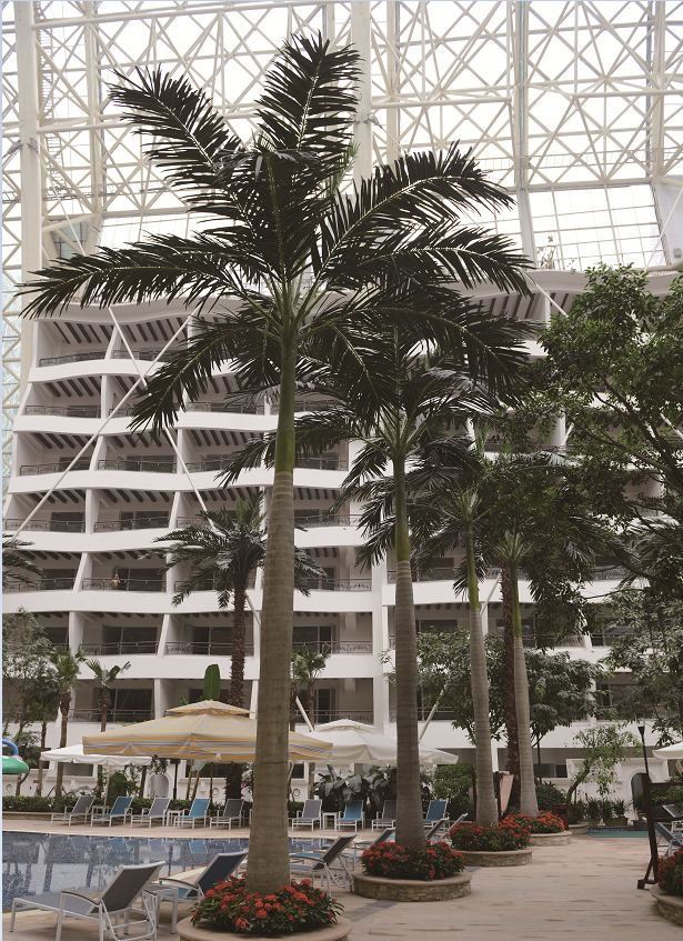 Artificial royal palm tree by the swimming pool