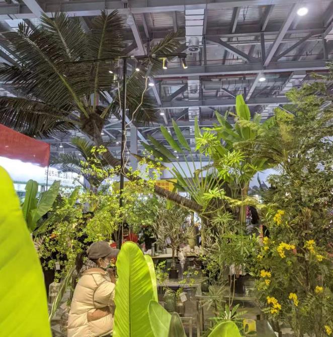 The popularity from Haihong at the Nanchang exhibition exceed into a new level