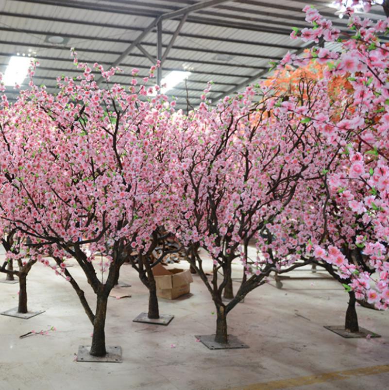 Why Peach Flowers mean a lot to Chinese New Year