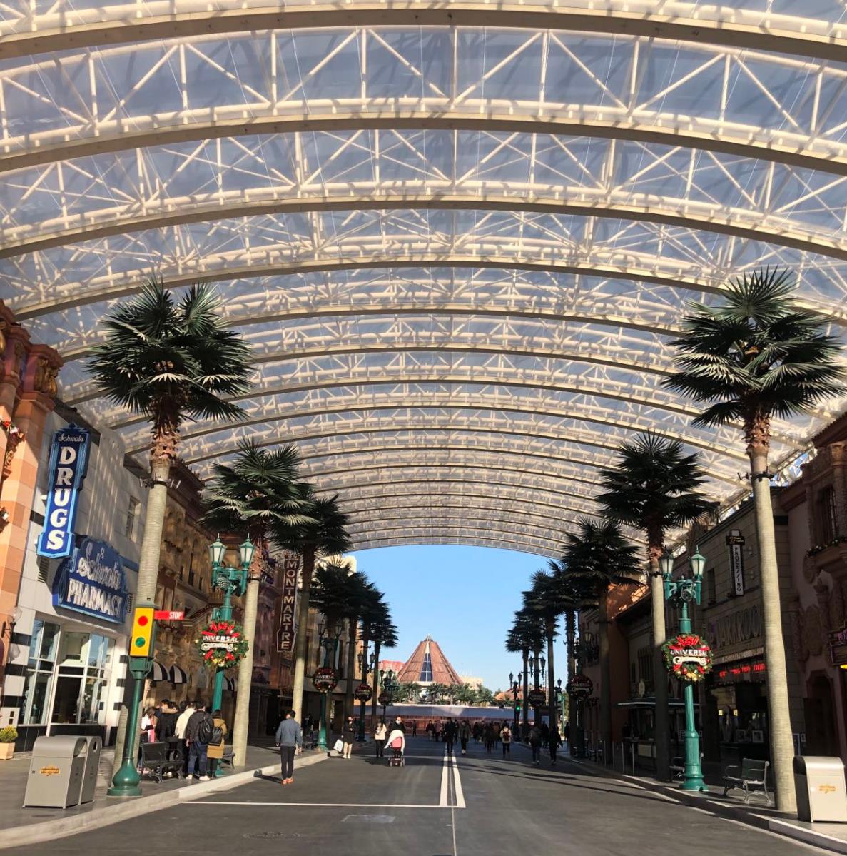 We Have Installed Palms All Over The World