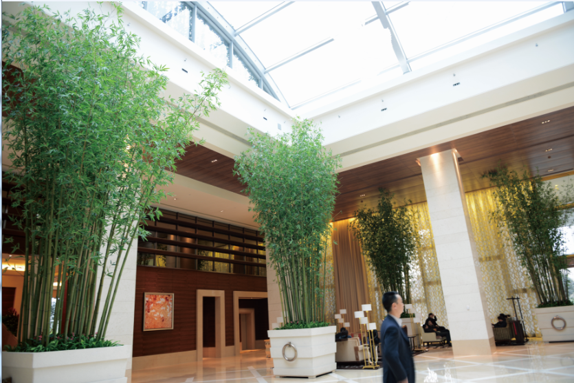 fake bamboo,仿真竹子,人造竹子,artificial bamboo,