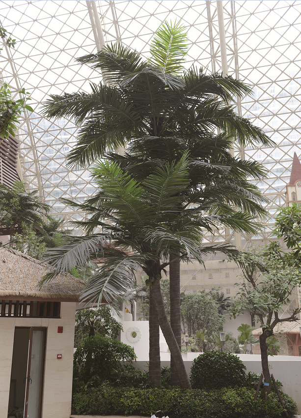 fake different shapes of coconut tree look natural
