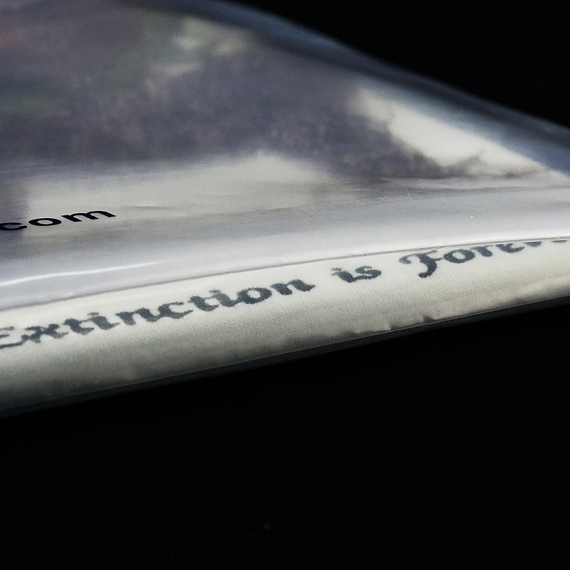 Custom biodegradable plastic bottom gusset ziplock bag with handle