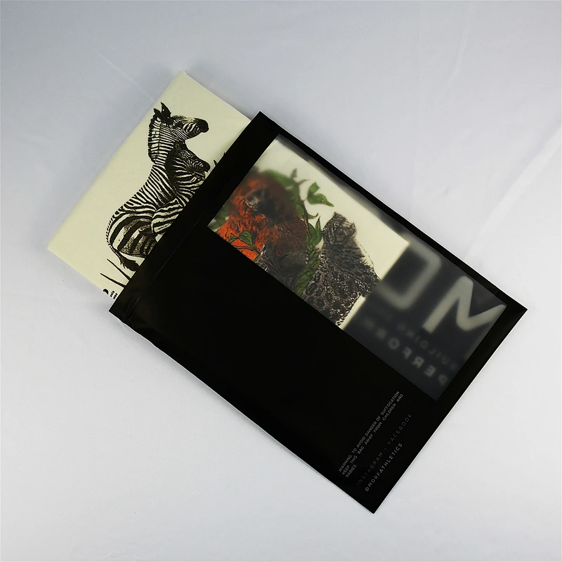 Custom frosted biodegradable plastic ziplock bag with window