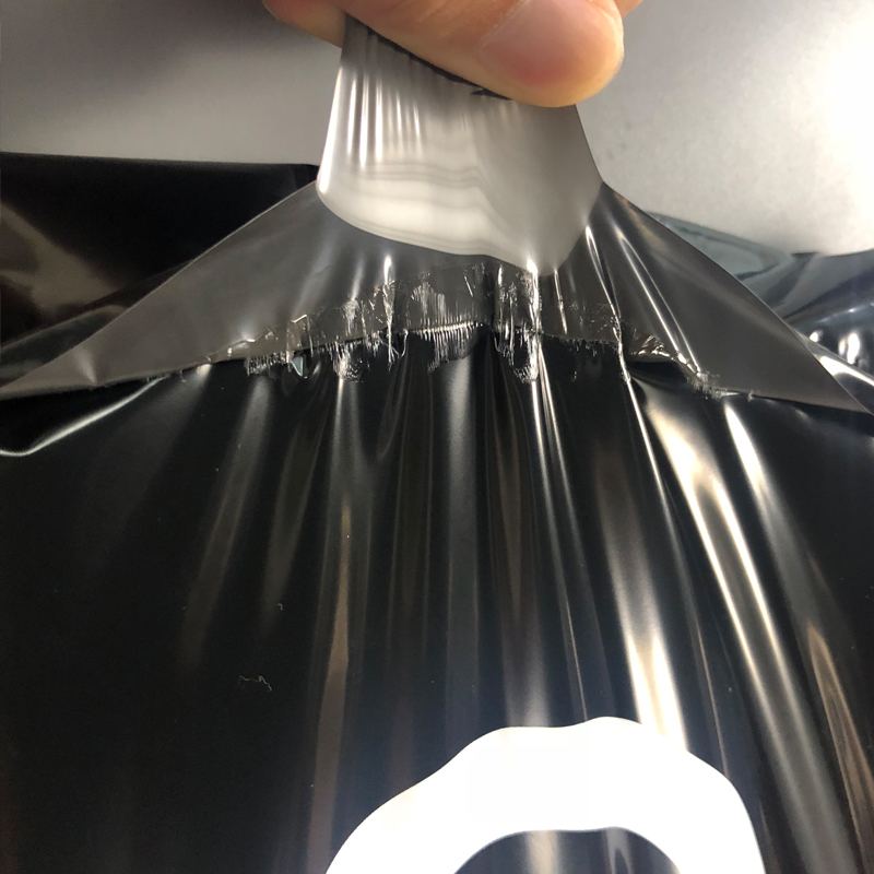 courier bag