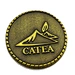 coin commemorative