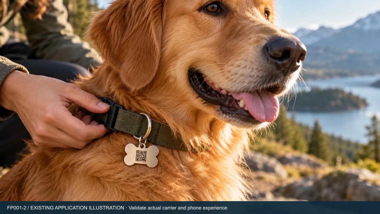 Existing FP001-2 collar-tag concept for evaluating carrier attachment and QR visibility