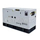 diesel generator with engine