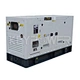 diesel generator with engine