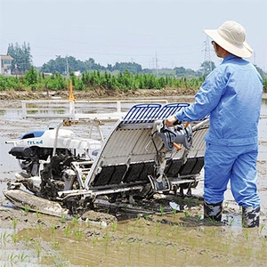 Walking Rice Transplanter