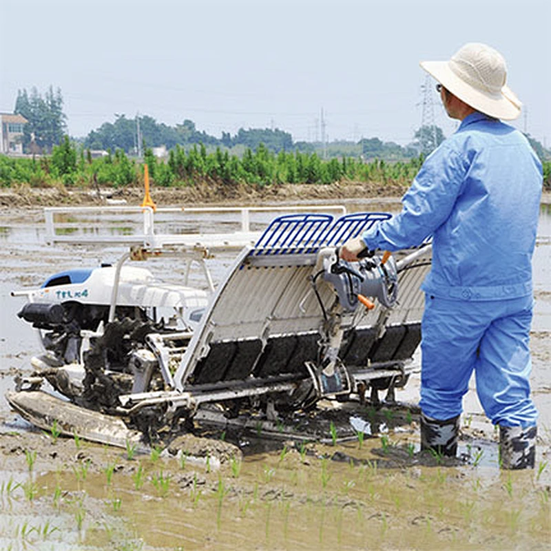 Walking Rice Transplanter