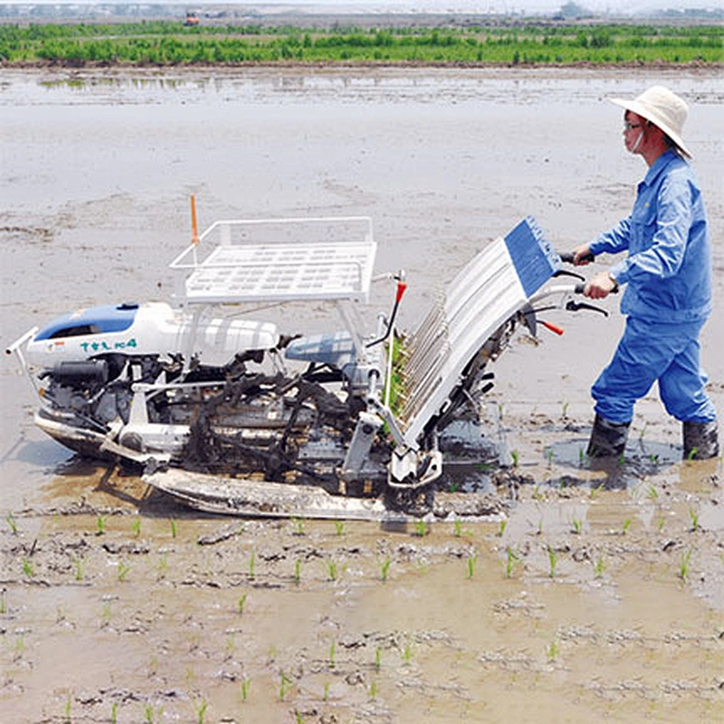 Ample Power Hand-Held Rice Transplanter