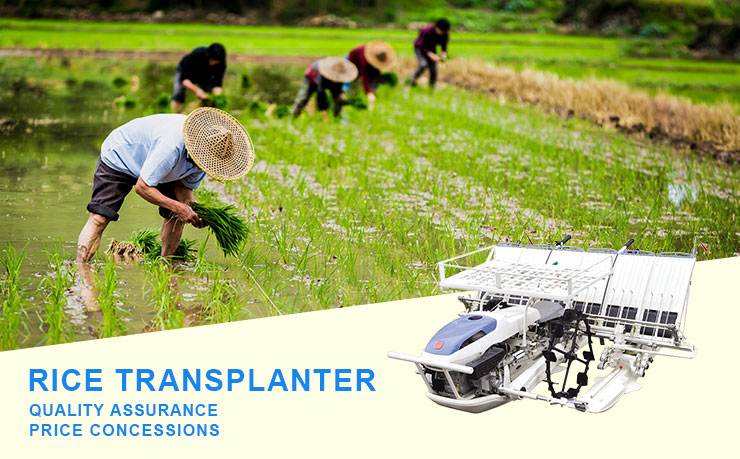 walking rice transplanter