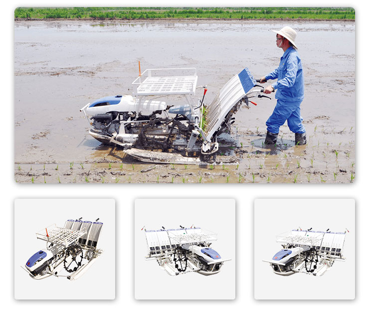 walking rice transplanter