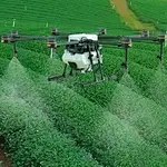 What type of drone does the plant protection drone belong to? What types of agricultural plant protection drones are there?