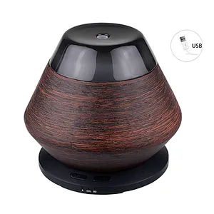 Rechargeable 100ml Resin Usb Aroma Essential Oil Diffuser Ultrasonic Air Humidifier Ultrasonic Cool Mist