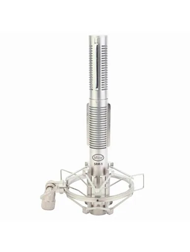 microphone stereo