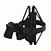 Shock Mounts
