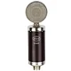 large diaphragm studio condenser microphone
