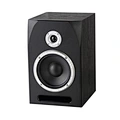 Active Monitor Speaker