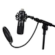 recording microphone