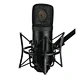 tube microphone