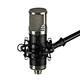 recording studio condenser mic microphone