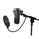 tube condenser microphone studio