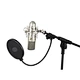 large diaphragm studio condenser microphone