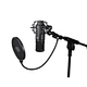 microphone condenser microphone