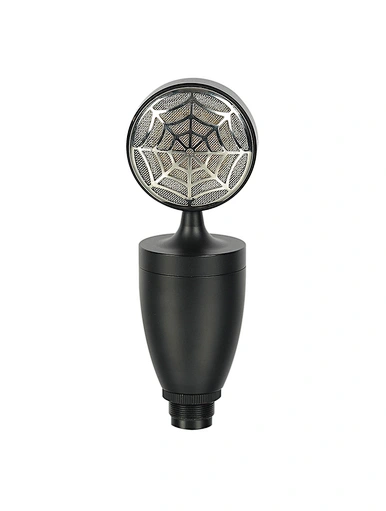 recording studio condenser mic microphone