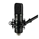 microphone condenser microphone