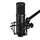 recording microphone
