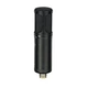 recording studio condenser mic microphone