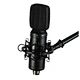 ribbon microphone