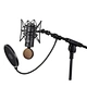 recording studio condenser mic microphone