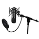 microphone tube