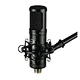 recording microphone