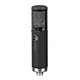 microphone tube