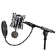 recording tube microphone
