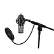 recording microphone