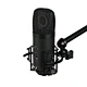 recording studio condenser mic microphone