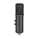 vocal microphone