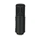 condenser microphone