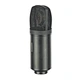 microphone tube
