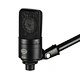 large diaphragm studio condenser microphone