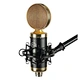 ribbon microphone
